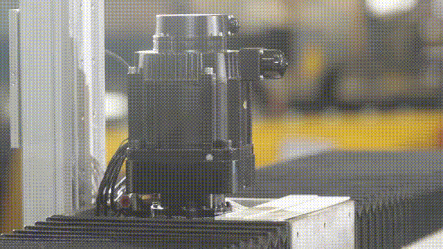 20220120_084406_03.gif